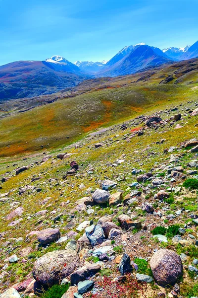 Алтайские горы с холмами и каменистыми равнинами — стоковое фото