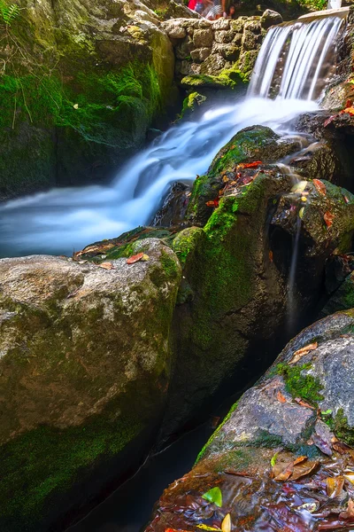 Cascade, jungle, rochers et pierres — Photo