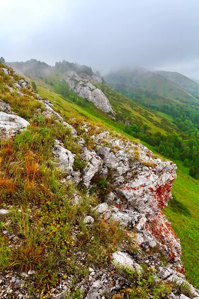 Las montañas verdes en la niebla . — Foto de Stock