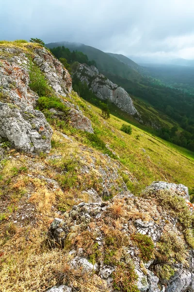 Il canyon verde e la gola della montagna. Mattina nebbiosa . — Foto Stock