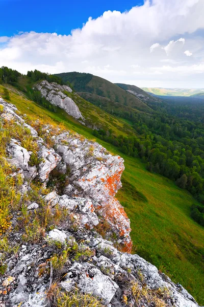 Dağ ve gorge yeşil ağaçlarıyla kaplı