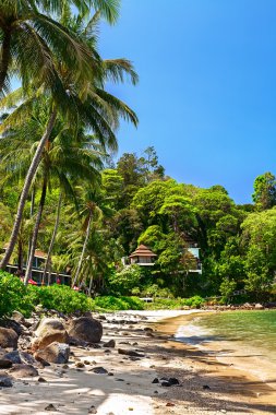 Sandy beach otel yakınında palmiye ağaçları ile