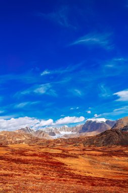 Altay Dağları Sibirya Rusya