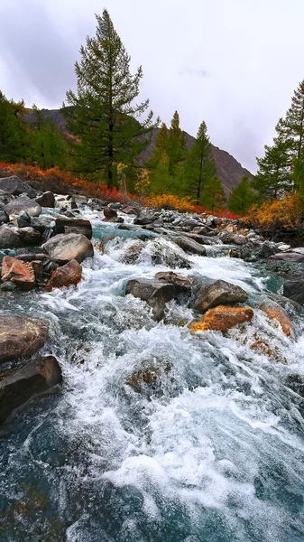 Otoño río de montaña — Foto de Stock