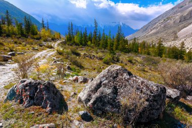 Dağ manzarası ile ağaçlar ve kırsal bir yol. (Altay, Rusya Federasyonu).
