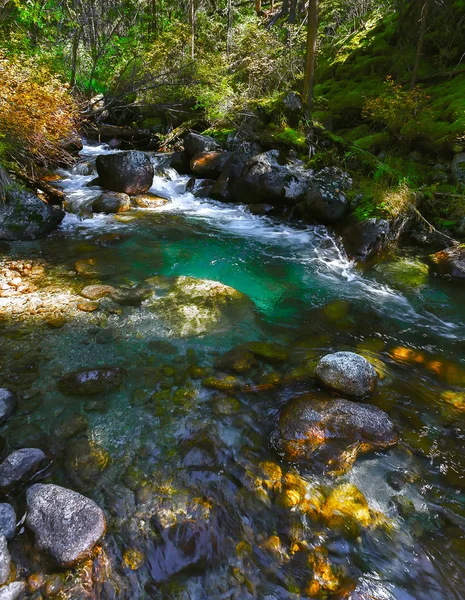 De rivier heeft turkooise kleur in het bos. — Stockfoto