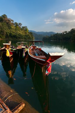 Ulusal deniz göl günbatımı üzerinde orman
