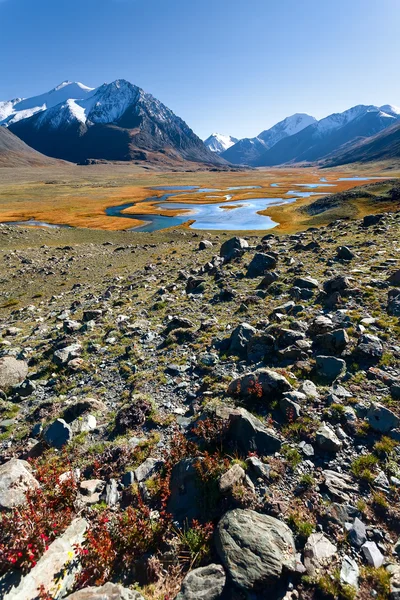 Lac, montagnes, désert — Photo