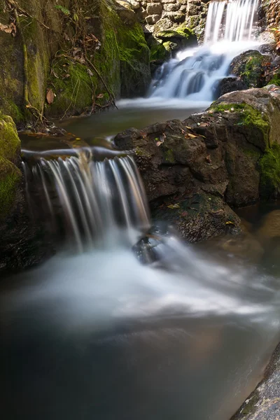 Río, cataratas, selva, cascada —  Fotos de Stock