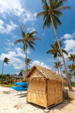 plaj, bungalov, palmiye ağacı