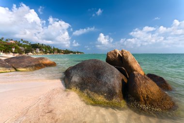 sahil, taşlar, deniz, plaj