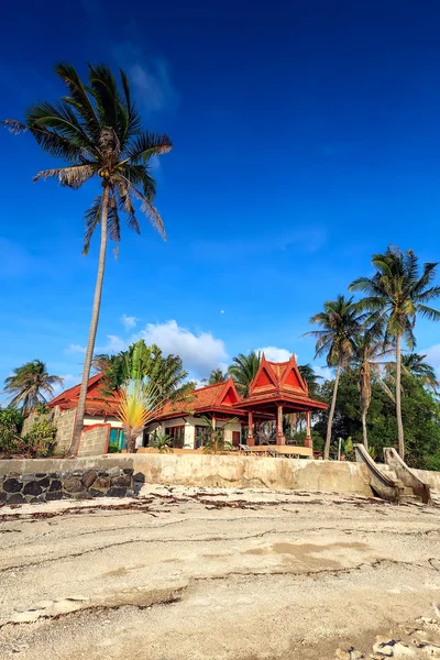Dom, palmy, wybrzeże — Zdjęcie stockowe