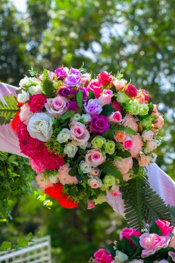 çiçek tomurcukları