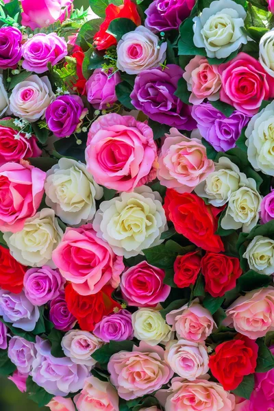 Flowers roses, texture — Stock Photo, Image