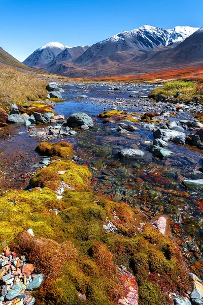 Rivier van de berg moss — Stockfoto