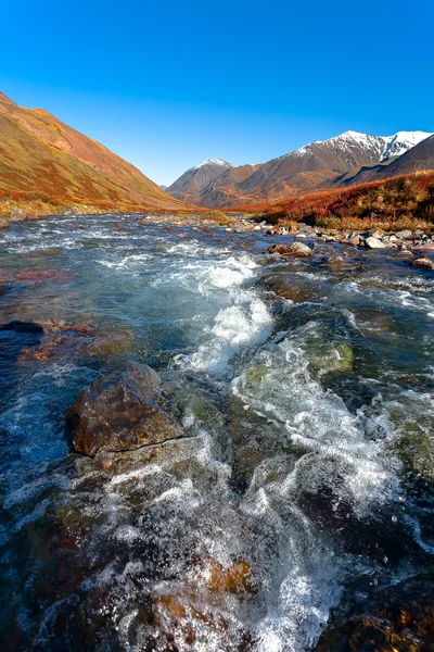 Řeka Mount Altaj — Stock fotografie