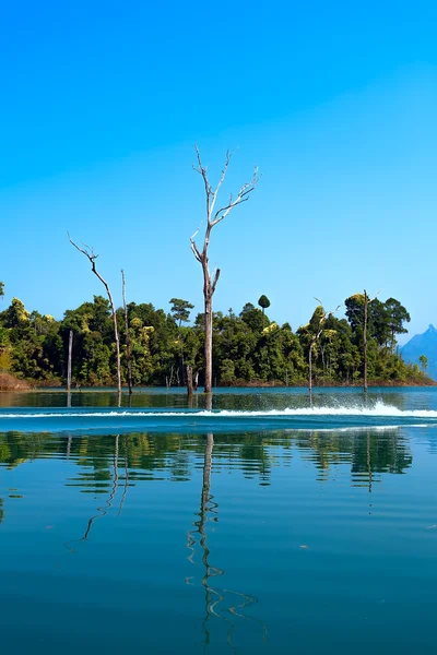 Der see und die bäume asiens — Stockfoto