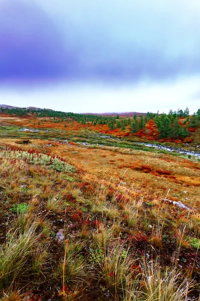 Otoño, montañas, taiga — Foto de Stock