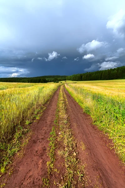 Rural road, meadow — Stok fotoğraf