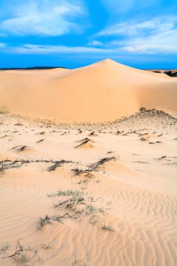 Gün batımında kum tepeleri.