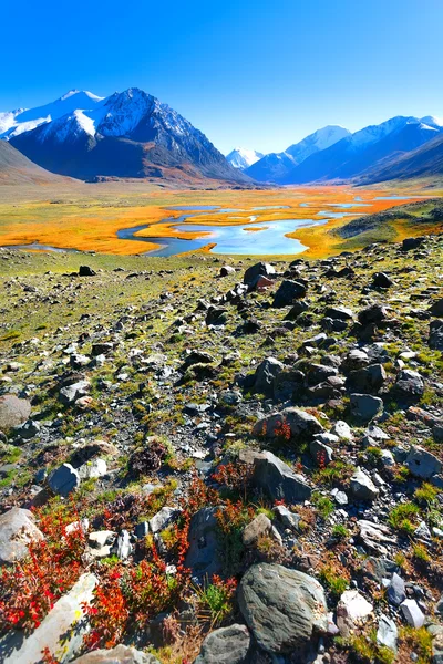 Vallée de montagne, automne — Photo