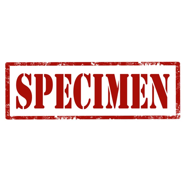 Specimen-red stamp — Stock Vector