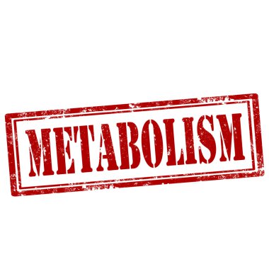 metabolizma damgası