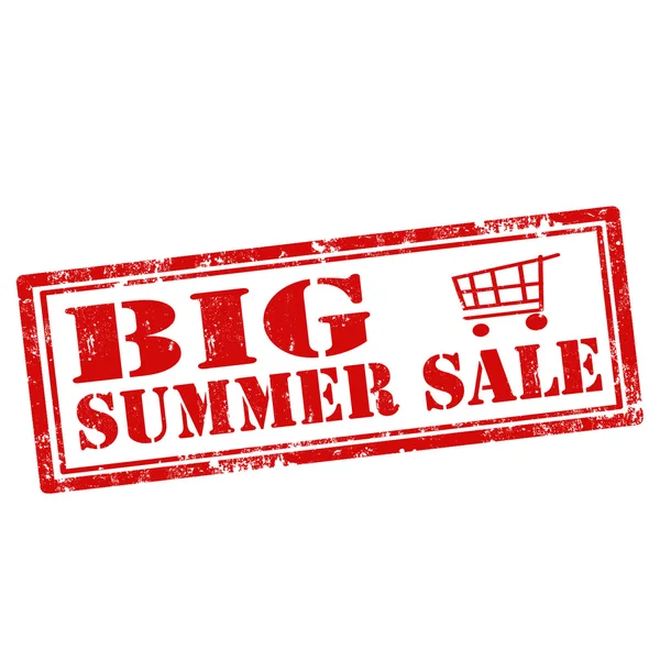 Big Summer Sale — Stock Vector