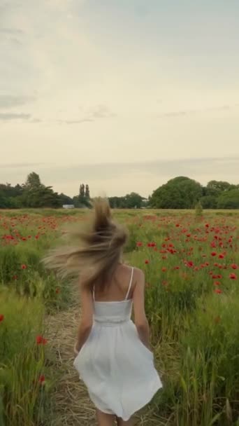 Egy fehér ruhás lány fut a virágzó mezőn. Függőleges irány — Stock videók
