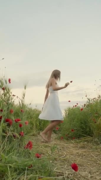 Pretty girl dancing in a poppy field smiling happily. Vertical orientation — Stock Video
