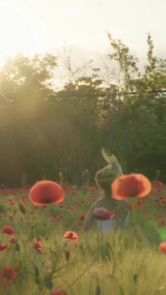 Pretty girl dancing in a poppy field smiling happily. Vertical orientation — Stock Video