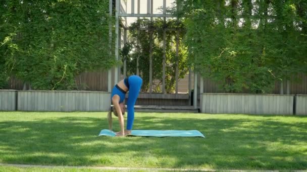 Mulher pratica ioga ao nascer do sol em pinhal Filmagem De Stock