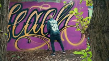 Duvardaki resim grafiti sanatçısı