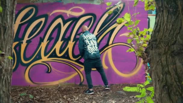 Graffiti umělec, malování na zeď — Stock video