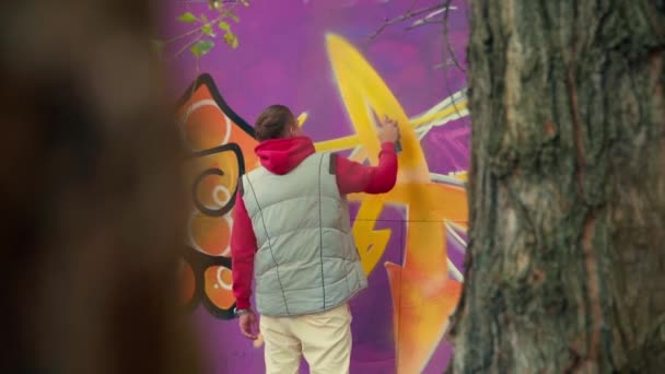 Graffiti artista pintura en la pared Vídeo De Stock