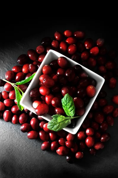 Cranberries — Stock Photo, Image