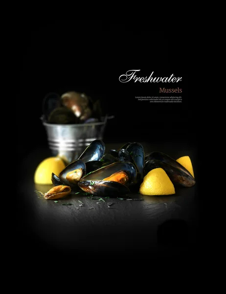 Mejillones de agua dulce — Foto de Stock