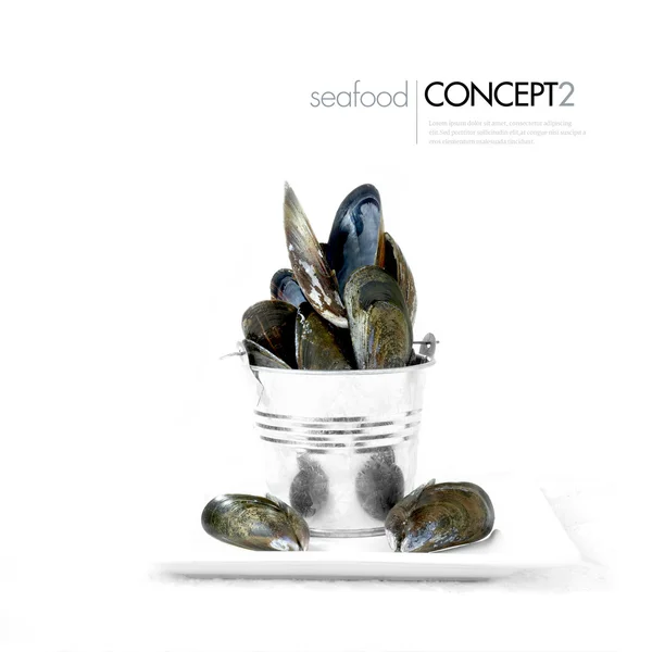 Seafood Concept II — Stock Photo, Image