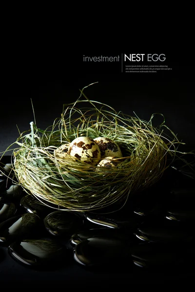 Інвестицій гнізда яйце — стокове фото