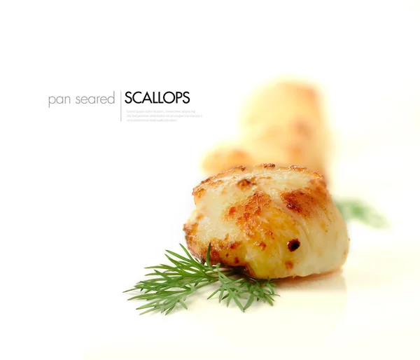 Pan Sear Scallops — стоковое фото