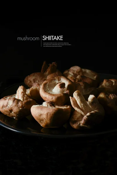Japanische Shiitake-Pilze — Stockfoto