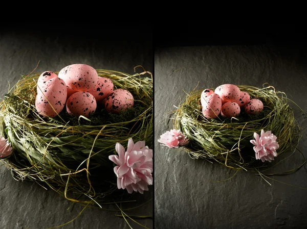 Easter Egg Nest — Stock Photo, Image