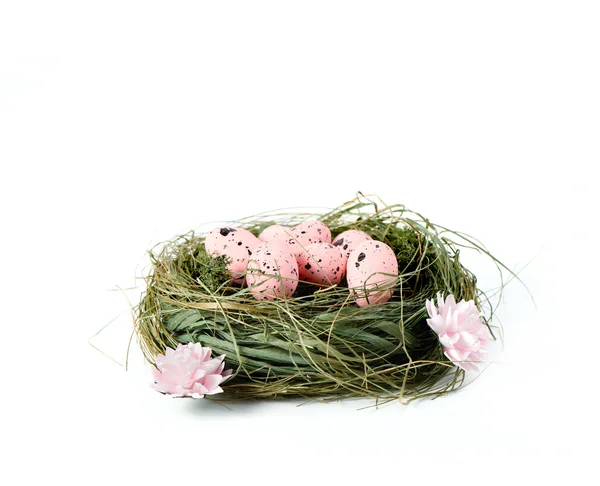 Húsvéti fészek — Stock Fotó