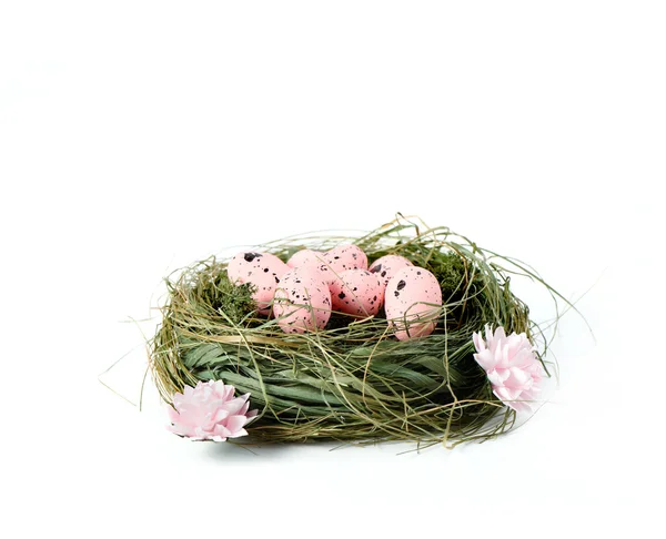 Pasen nest — Stockfoto