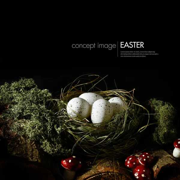 Concepto Pascua Imagen II — Foto de Stock