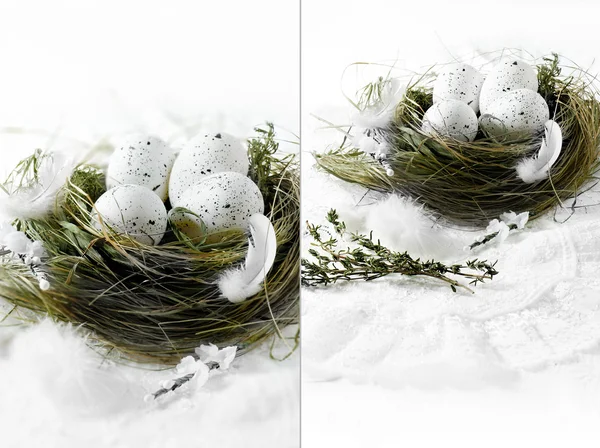 Easter Nest III — Stock Photo, Image