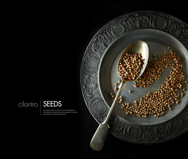 Cilantro Seeds — Stock Photo, Image