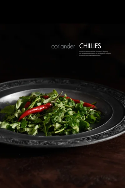 Koriander und Chilis — Stockfoto