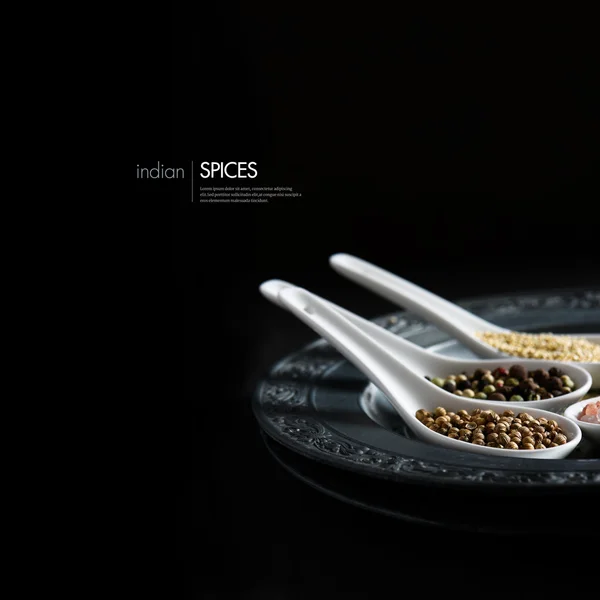 Indian Spices IV — Stock Photo, Image