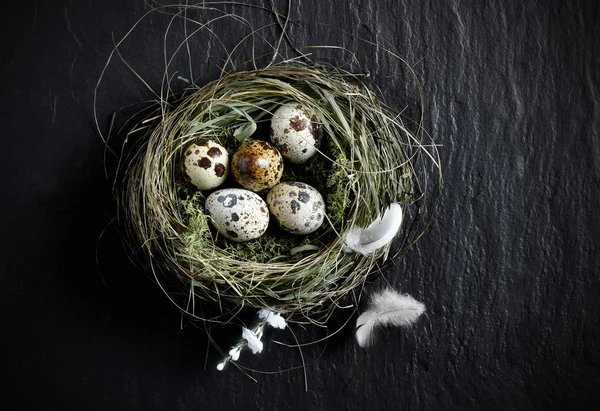 Quails Eggs Aerial — Stock Photo, Image